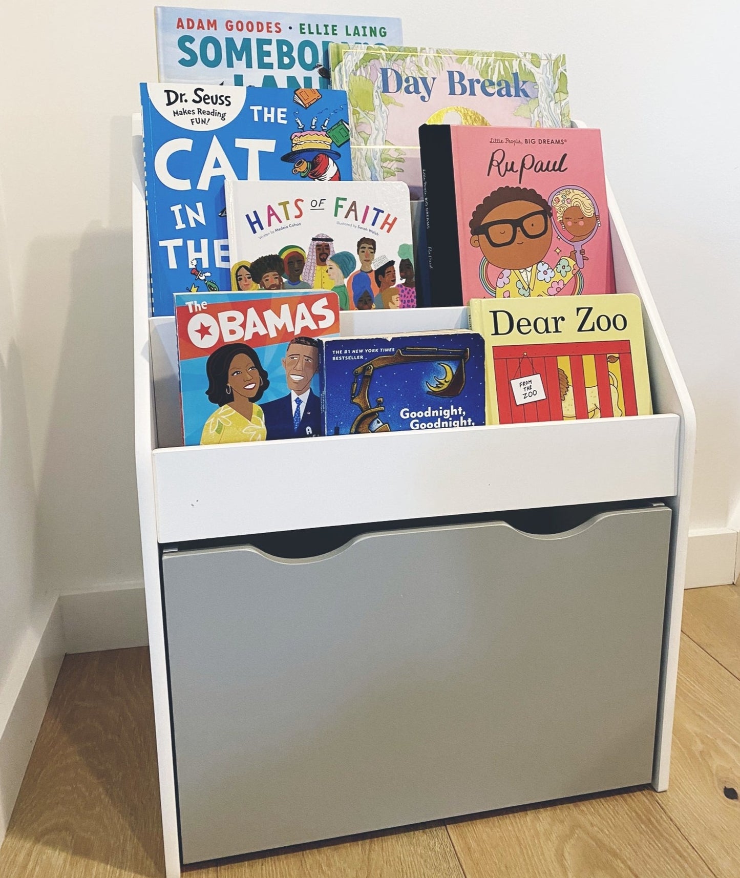 Bookshelf with a Removable Storage Draw